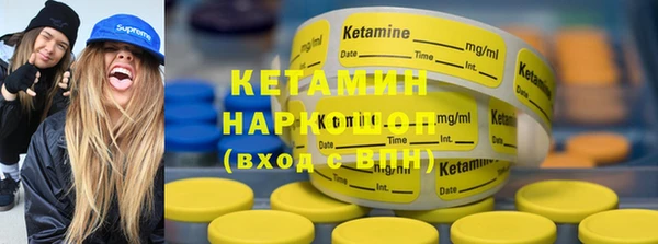 шишки Саяногорск