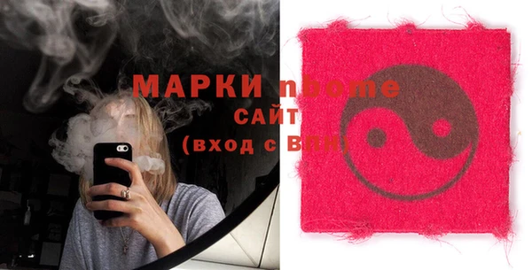 шишки Саяногорск