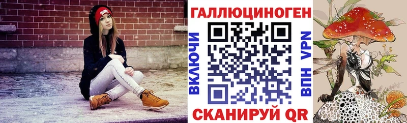 Псилоцибиновые грибы GOLDEN TEACHER  купить  цена  Новодвинск 